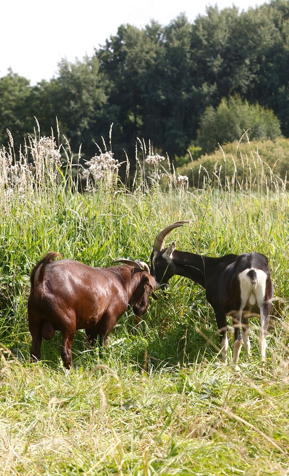 The preliminary work was lengthy and sometimes very difficult